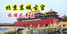 多人操比视频网中国北京-东城古宫旅游风景区